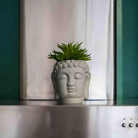 Cosy/parking/jardin Appartement Toulouse